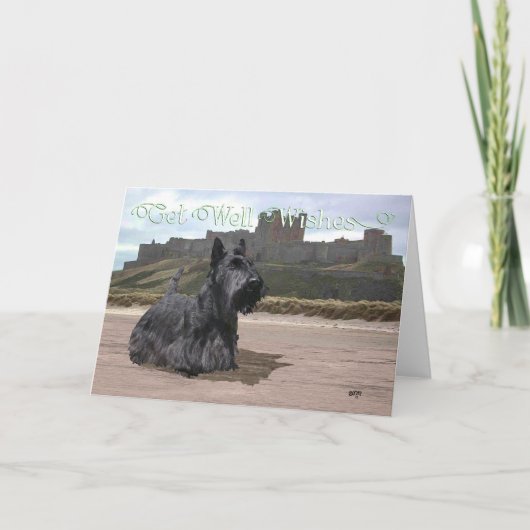 Snel-beter-wensen voor Schotse Terrier Kaart (Voorkant)