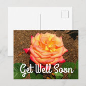 Snel Beter Worden Droom Die Uitkomt Roos #3 Ansich Briefkaart (Voorkant / Achterkant)