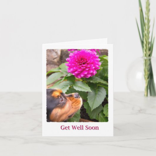 Snel Beterschap Dahlia en Cavalier King Charles Kaart (Voorkant)
