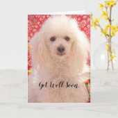 Snel Beterschap Toy poedel lege wenskaart Kaart (Gele Bloem)