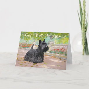 Snel-beterschapwensen voor Schotse Terrier Kaart