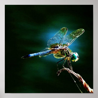 Snel bewegen terwijl nog het staan poster