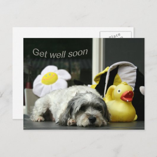 snel briefkaart (Voorkant / Achterkant)