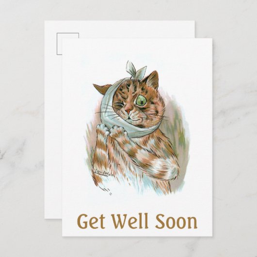 Snel Cat ophalen Briefkaart (Voorkant / Achterkant)