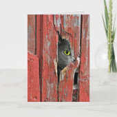 Snel Cat ophalen Kaart (Voorkant)