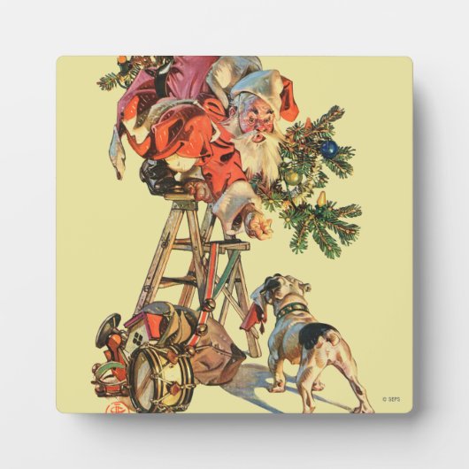 Snel een Ladder Fotoplaat (Voorkant)