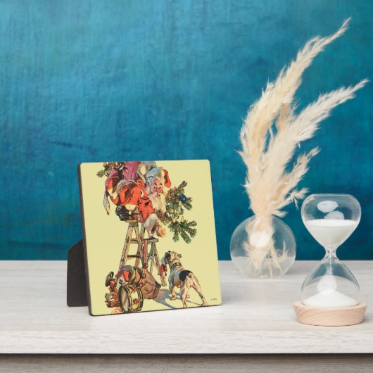 Snel een Ladder Fotoplaat (Insitu)