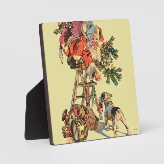 Snel een Ladder Fotoplaat (Voorkant)