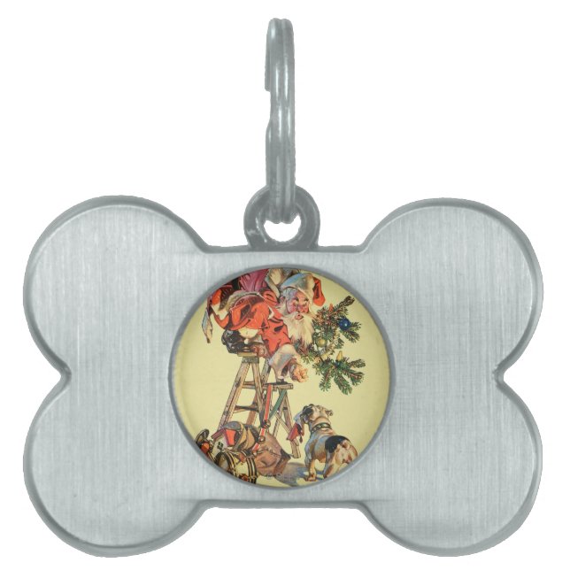 Snel een Ladder Huisdieren Naamplaatje (voorkant)