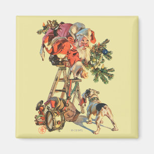 Snel een Ladder Magneet