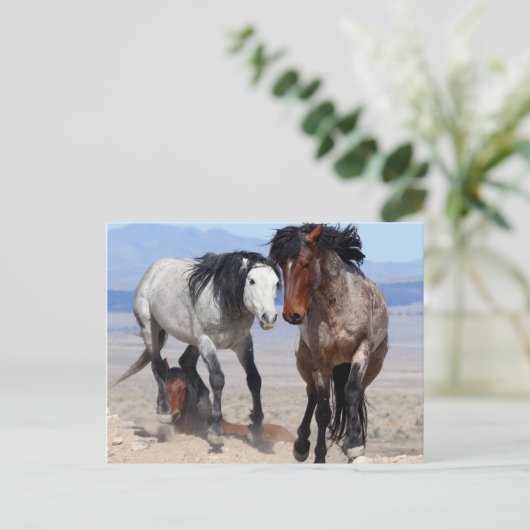 Snel en bondig Briefkaart (Staand voorkant)