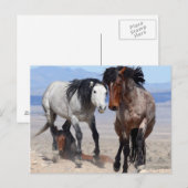 Snel en bondig Briefkaart (Voorkant / Achterkant)