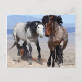 Snel en bondig Briefkaart (Voorkant)