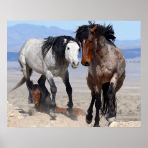 Snel en furieus poster