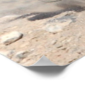 Snel en furieus poster (Hoek)