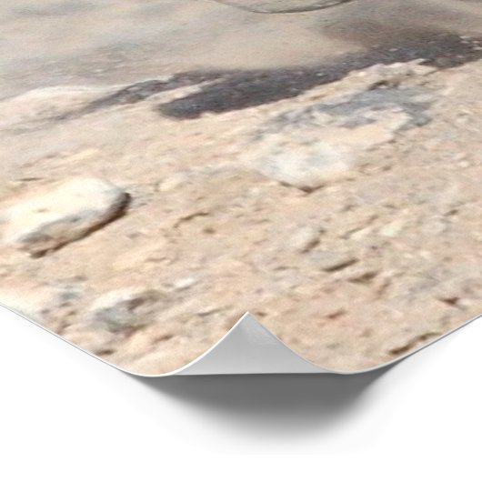 Snel en furieus poster (Hoek)