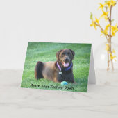 Snel gezond worden Labrador Retriever Wenskaart Kaart (Gele Bloem)