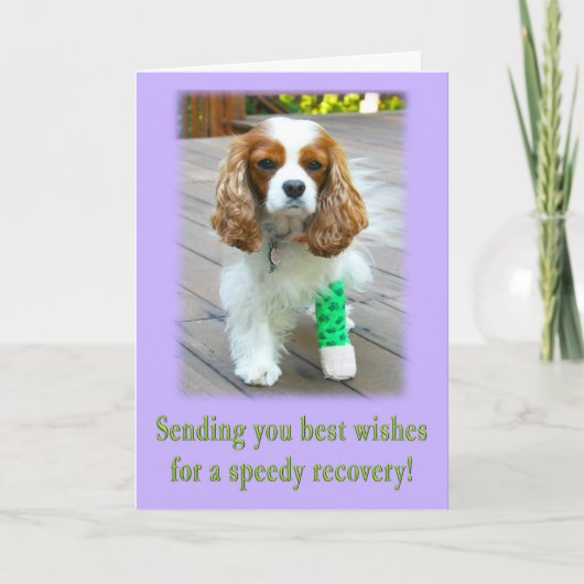 Snel Herstel Snelle Spaniel Wenskaart Kaart (Voorkant)