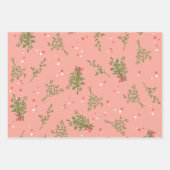 Snel kerstsnoepkanen Mistletoe Xmas variëteit Inpakpapier Vel (Voorkant 2)