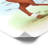 Snel met Poster voor sokken en blaze-paardenanatom (Hoek)