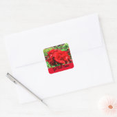 Snel rode roze #1 Sticker (Envelop)