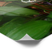 Snel wijsheid, groen poster (Hoek)