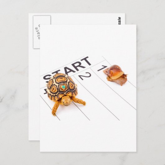 Snelheid Briefkaart (Voorkant / Achterkant)