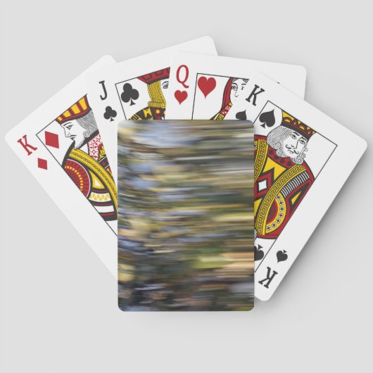 Snelheid Speelkaarten (Achterkant)