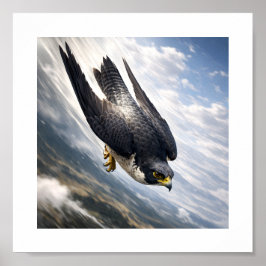 Snelheid van de lucht - Slechtvalk in daling Poster