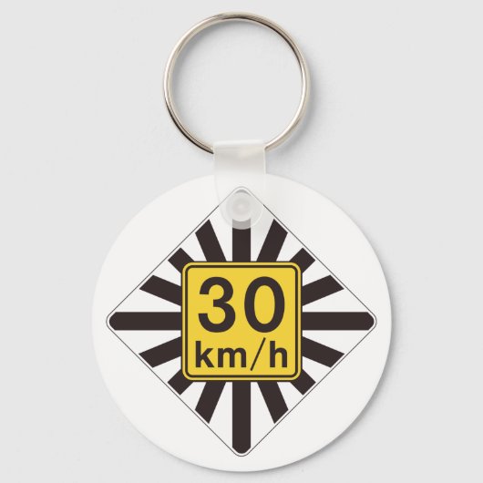 Snelheidsbeperking 30 Wegwijzer Sleutelhanger (Voorkant)