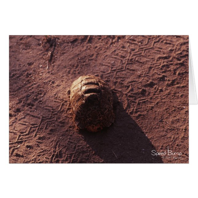 Snelheidsbom (Voorkant Horizontaal)