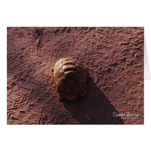 Snelheidsbom (Voorkant Horizontaal)