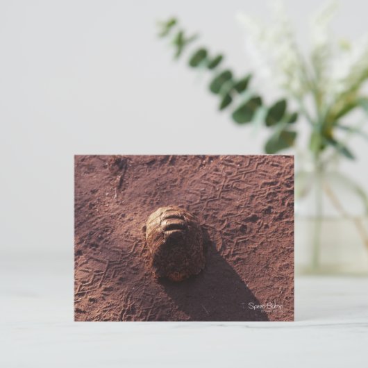 Snelheidsbom Briefkaart (Staand voorkant)