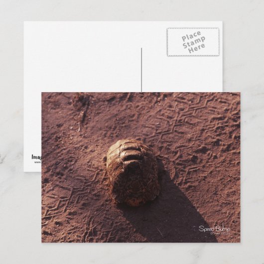 Snelheidsbom Briefkaart (Voorkant / Achterkant)