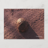 Snelheidsbom Briefkaart (Voorkant)