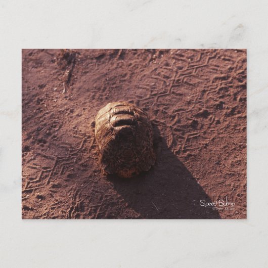 Snelheidsbom Briefkaart (Voorkant)