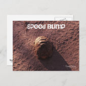 Snelheidsbom Briefkaart (Voorkant / Achterkant)