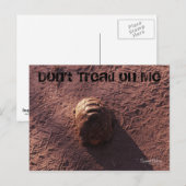 Snelheidsbom Briefkaart (Voorkant / Achterkant)