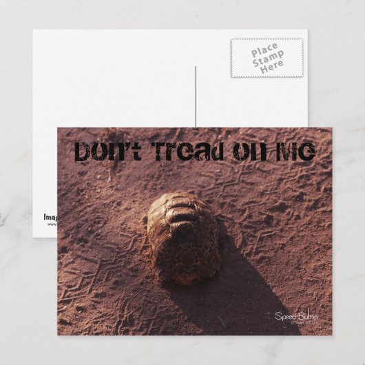 Snelheidsbom Briefkaart (Voorkant / Achterkant)