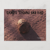 Snelheidsbom Briefkaart (Voorkant)