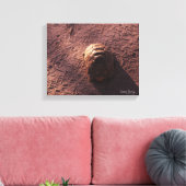 Snelheidsbom Canvas Afdruk (Insitu (Woonkamer))