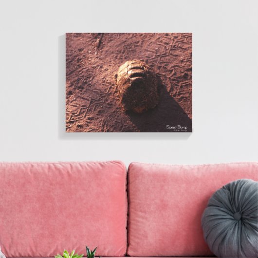 Snelheidsbom Canvas Afdruk (Insitu (Woonkamer))