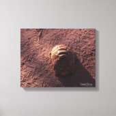 Snelheidsbom Canvas Afdruk (Voorkant)