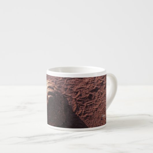 Snelheidsbom Espresso Kop (Voorkant rechts)