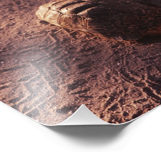 Snelheidsbom Foto Afdruk (Hoek)