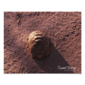 Snelheidsbom Foto Afdruk (Voorkant)