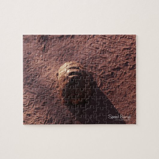 Snelheidsbom Legpuzzel (Horizontaal)