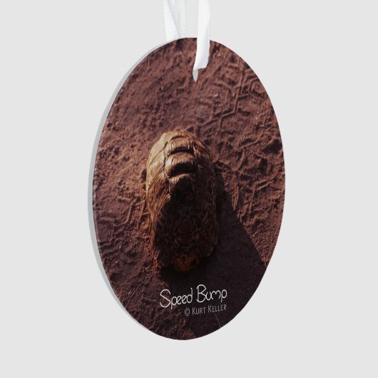 Snelheidsbom Ornament (voorkant)