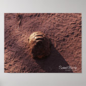 Snelheidsbom Poster (Voorkant)