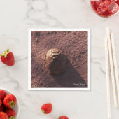 Snelheidsbom Servetten (Insitu)